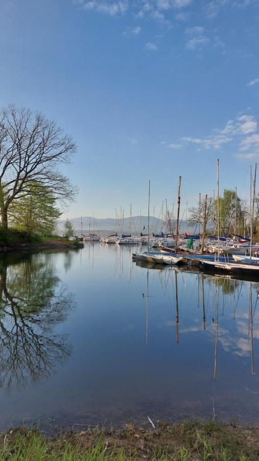 Laguna24 Jezioro Zywieckie Klimatyzowany Apartament 40 M2 Zarzecze  Eksteriør billede